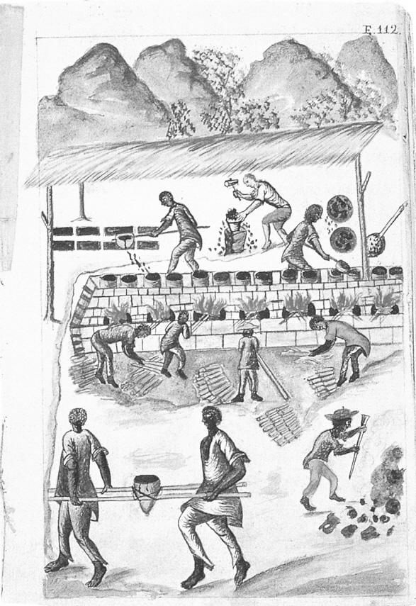 13. La prima colonizzazione dell America (breve) Sulla base delle proprie conoscenze e delle fonti descrivere i cambiamenti nella vita della popolazione indigena, nell economia, società e cultura