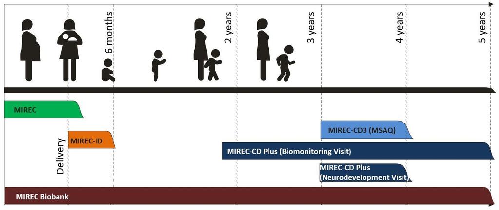 Klinikai pszichodiagnosztika és kutatásmódszertan - PDF Ingyenes letöltés