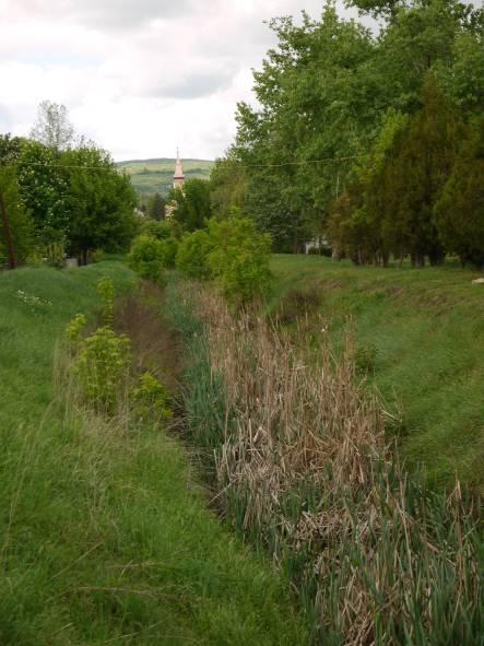 Az erdős területek túlnyomó többségét sajnos az akác (Robinia pseudoacacia) uralja, az őshonos fafajok állományai csupán néhány apró foltban maradtak fenn.