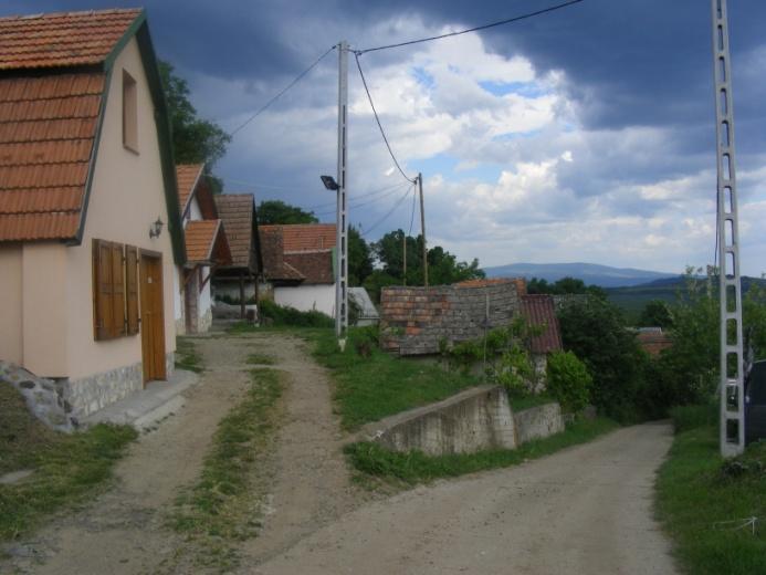 PINCESOROK TERÜLETE 4 Rózsaszentmárton két pincesorral is rendelkezik, a Tarcódi és a Nagy-völgyi pincesorral. A pincesor csapásiránya ÉK-DNy. A hosszú pincesoron több mint száz pince található.