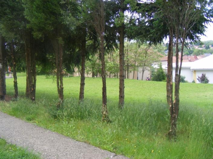 míg a hátsó részen a konyhakert található.