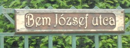a környezethez való alkalmazkodás érdekében.