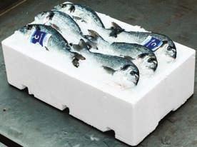 Halak A HÓNAP HALA: L ULTIME OSZTRIGA (CRASSOSTREA GIGAS) Az