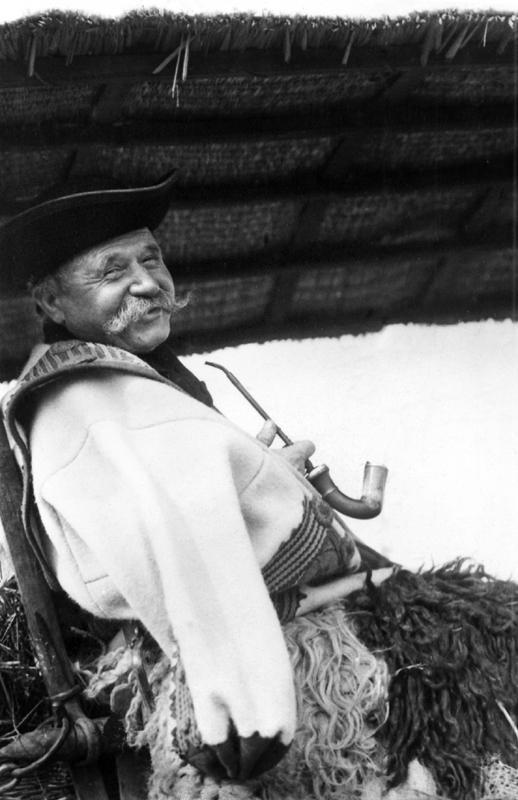 MEZŐVÁROSOK