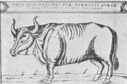 Debrecen pusztái a XVII. században, 6.