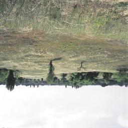 ) Budaörs: Odvas-hegy, 1996. (G2) 32.