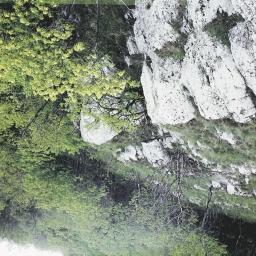35. Pusztafüves lejtősztyepp (Cleistogeni-Fectucetum rupicolae) mészkőpadon sajmeggyes karsztbokorerdővel(ceraso-q uercetum) és xerotherm tölgyesekkel övezve.