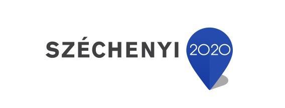 2 Készítette az EFOP 1.8.0-VEKOP-17-2017-00001 Egészségügyi ellátórendszer szakmai módszertani fejlesztése című projekt C KÖRNYEZETEGÉSZSÉGÜGY / C.I. munkacsoportja.