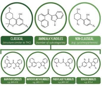 Mik a szintetikus cannabinoidok (SC)?