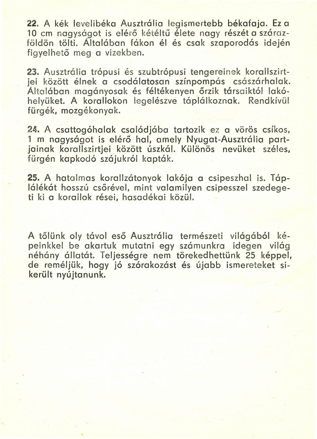 22. A kék levelibéka Ausztrália legismertebb békafaja. Eza 10 cm nagyságot is elérő kétéltű élete nagy részét a szárazföldön tölti.