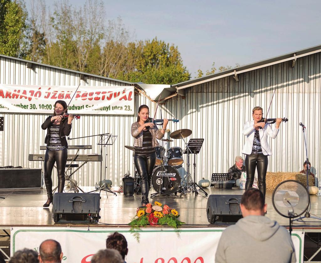 Tjmalomban. A fsztivál ötltgazdája és rndzőj dr. Lndvai Csaba és családja, a Srvt 2000 Kft. tulajdonosai, fővédnök pdig dr. Fazkas Sándor földművlésügyi minisztr volt.