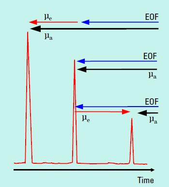 Látszólagos (eredő) mozgékonyság μ EOF v EOF E L t eff EOF L t U effektív mozgékonyság látszólagos mozgékonyság v i v ieredő - v EOF L t eff i L t eff EOF v i az i komponens elektroforetikus