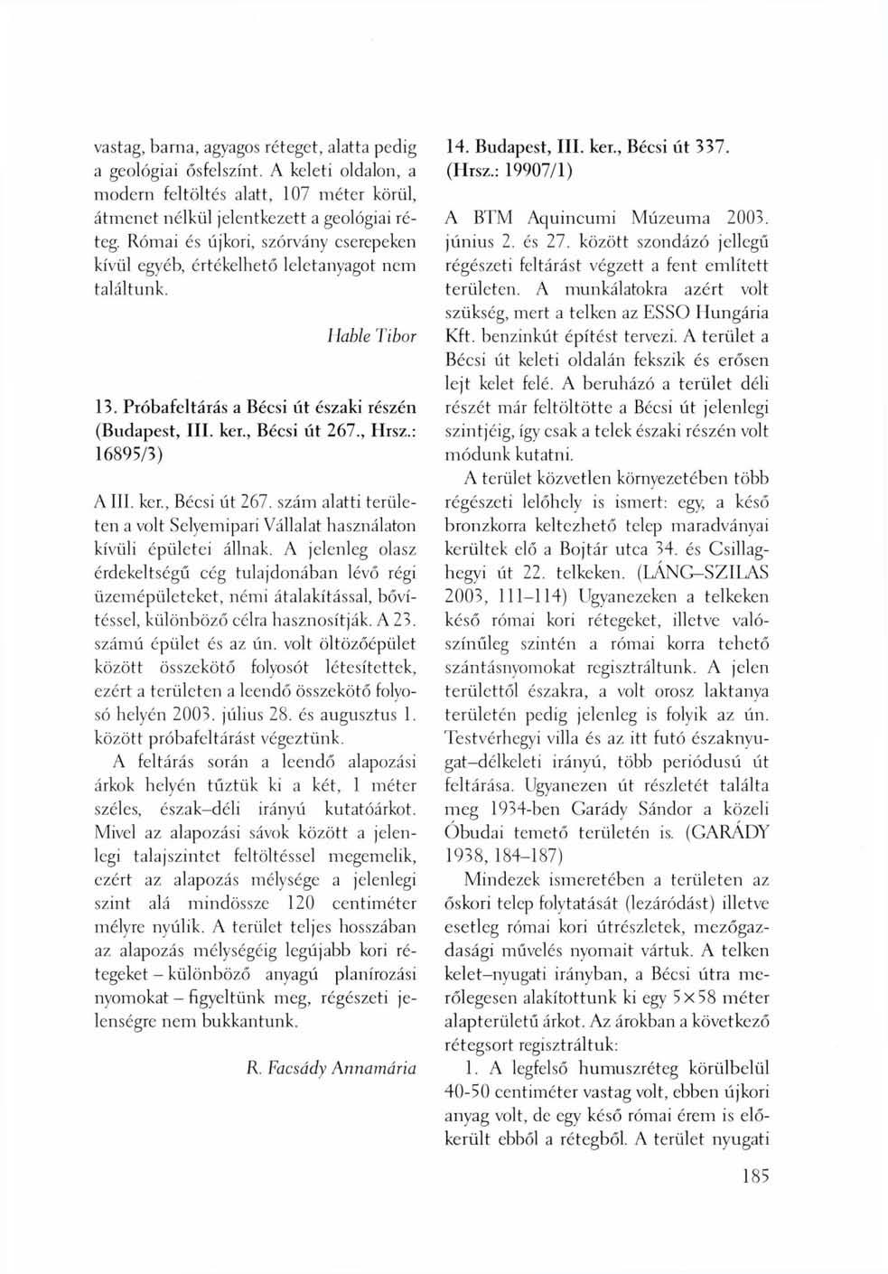 vastag, barna, agyagos réteget, alatta pedig a geológiai ősfelszínt. A keleti oldalon, a modern feltöltés alatt, 107 méter körül, átmenet nélkül jelentkezett a geológiai réteg.