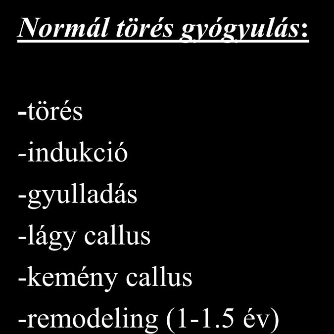 callus -kemény callus -remodeling (1-1.