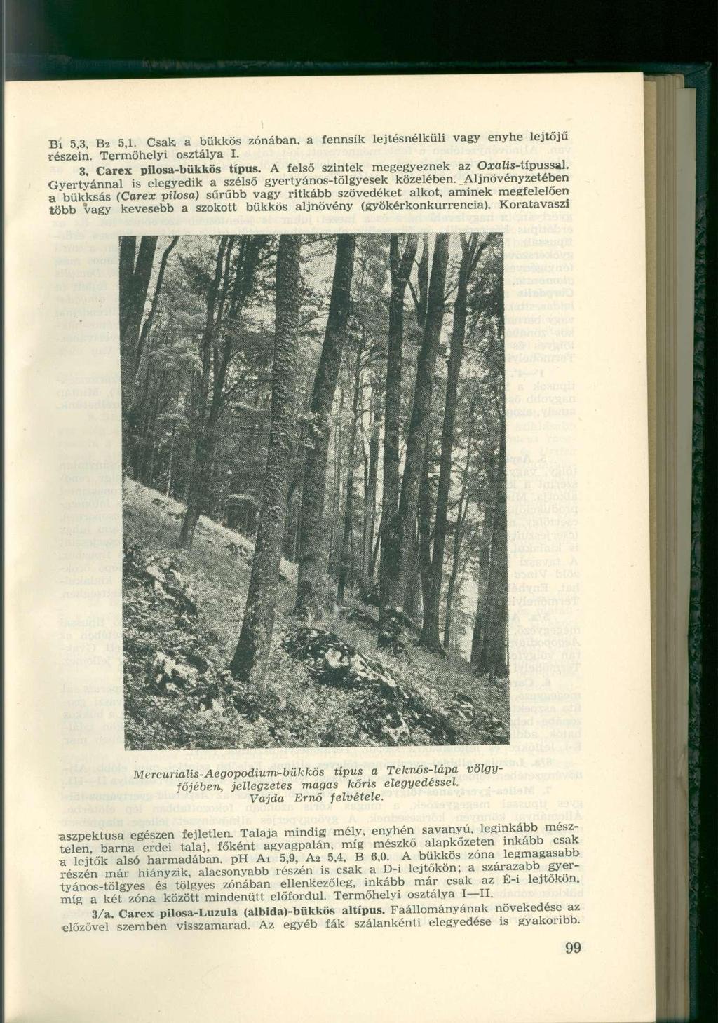 Bi 5,3, B2 5,1. Csak a bükkös zónában, a fennsík lejtésnélküli vagy enyhe lejtőjű részein. Termőhelyi osztálya I. 3 Carex pilosa-bükkös típus. A felső szintek megegyeznek az Oxolis-típussal.