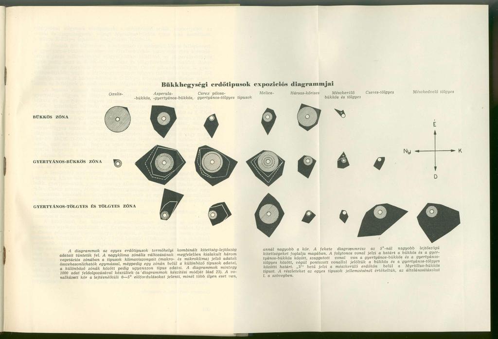 Bükkhegységi erdőtipusok expozíciós diagrammjai Oxalis- Asperula- Carex pilosa- Melica- -bükkös, -gyertyános-bükkös,- gyertyános-tölgyes típusok Hársas-kőrises Mészkerülő Cseres-tölgyes bükkös és