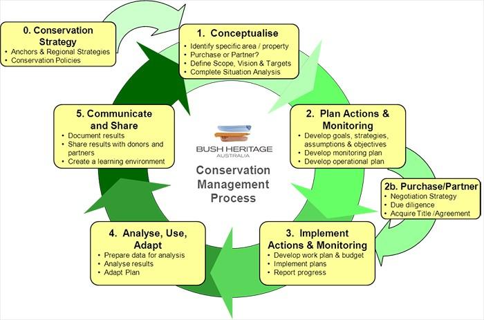 Ideális természetvédelmi kezelési folyamat 0: Természetvédelmi stratégia 1: Koncepció összeállítása 2: A beavatkozások és a monitorozás tervezése