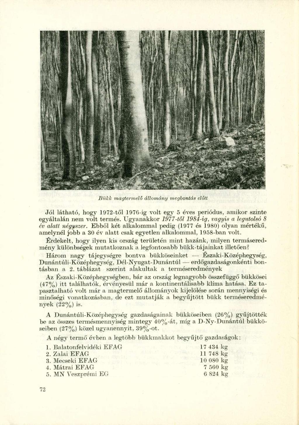 Bükk magtermelő állomány megbontás előtt Jól látható, hogy 1972-től 1976-ig volt egy 5 éves periódus, araikor szinte egyáltalán nem volt termés.