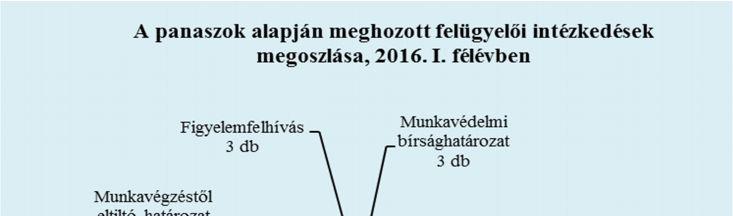 6. FŐMUNKAIDŐN KÍVÜL VÉGZETT ELLENŐRZÉSEK A 2016. I.