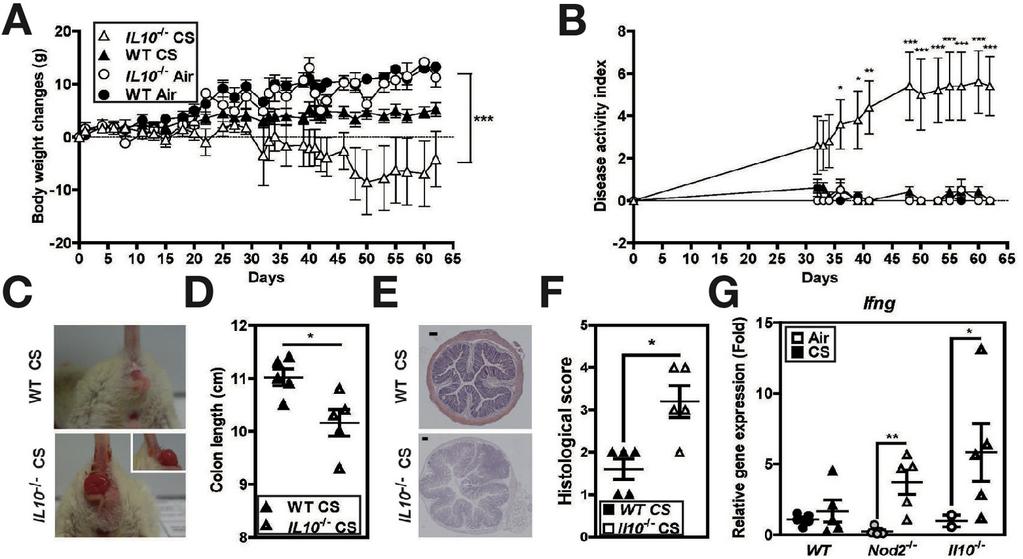 Dohányzás és genetika Yadav et al.