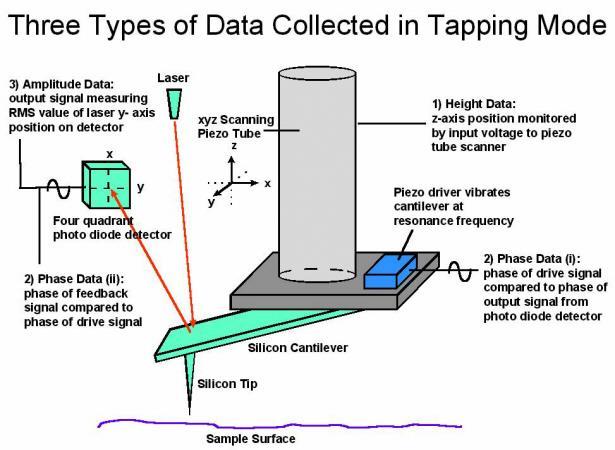 AFM tapping mode morse-mód