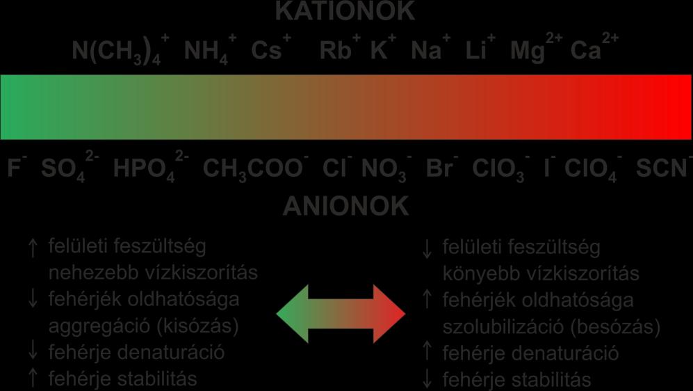 rendezte, aszerint, hogy milyen hatékonysággal csapják ki a globuláris fehérjéket (2.13. ábra) [117]. 2.13. ábra Tipikus Hofmeister sor anionokra és kationokra [118], [119].