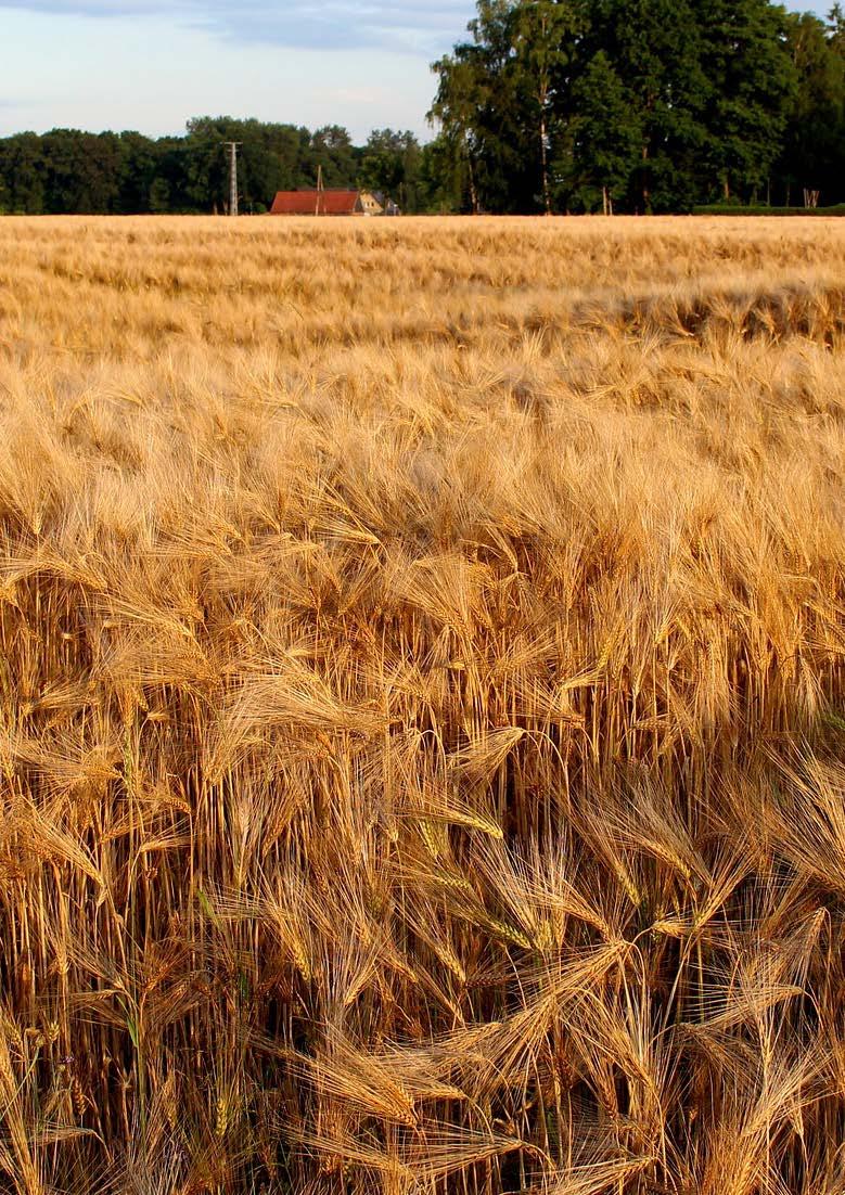 9. 10. 11. 12. nem kerül. Ezért az adott üzem tényleges méretéről főleg, ha a támogatás nem jár az összes földrészlet után - senkinek nincs köztudomása, így eleve elesik annak a hatósági ellenőrzése.