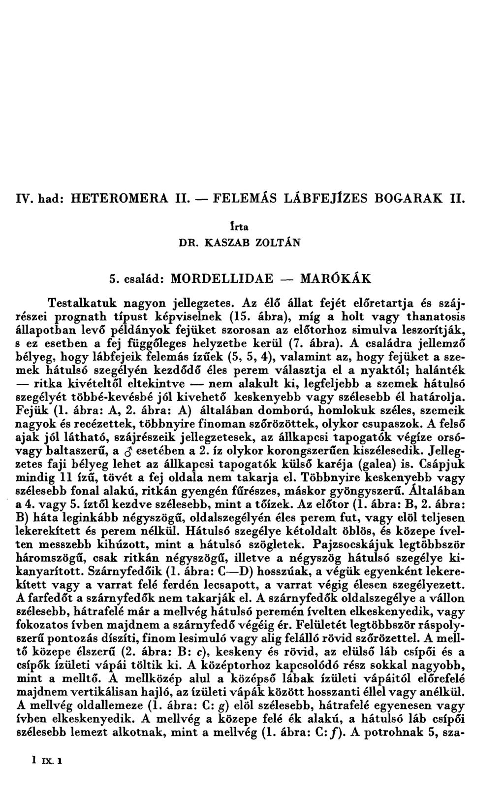 IV. had: HETEROMERA II. - FELEMĂS LĂBFEJÍZES BOGARAK II. Iı-ta DR. KASZAB ZOLTÁN 5. család: MORDELLIDAE -- MARÓKĂK Testalkatuk nagyon jellegzetes.