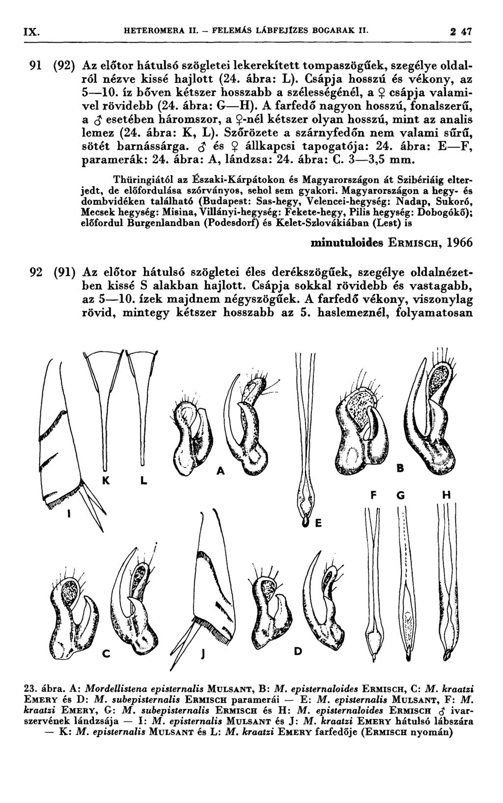 4, ` IX. HETEROMERA 11. FELEMÁS LÁEFEJIZES BOGARAK 11. 2 47 91 (92) 92 (91) Az előtor hátulsó szögletei lekerekített tompaszögűek, szegélye oldalról nézve kissé hajlott (24. ábra: L).