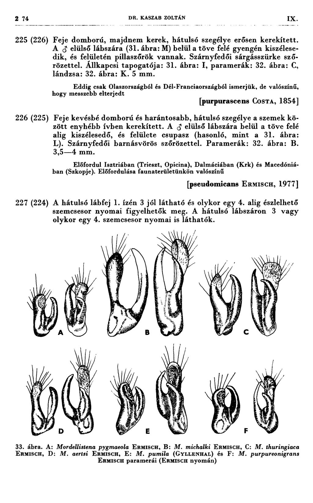 I ` 1 ' I ll' \.'., I D ı.ji ' I'\ - '' 1,6 ; ˇ `.. " If' <I ` I 2 74 DR. KASZAB ZOLTÁN 1x 225 (226) Feje domború, majdnem kerek, hátulsó szegélye erősen kerekített. A 3 elülső lábszára (31.