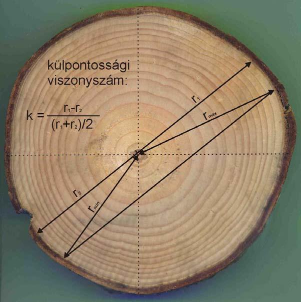 A KUTATÓMUNKA MÓDSZERE, VIZSGÁLATI ANYAGOK 3. 1. Korong átmérő és külpontosság mérése A fatörzs keresztmetszetén a bél elhelyezkedése lehet központos és külpontos.