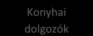 feladatait a jogszabályi előírásoknak és a tartalmi követelményeknek megfelelően