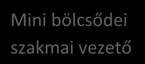 Intézményvezető Élelmezésvezető Intézményvezető helyettes Óvodapedagógusok