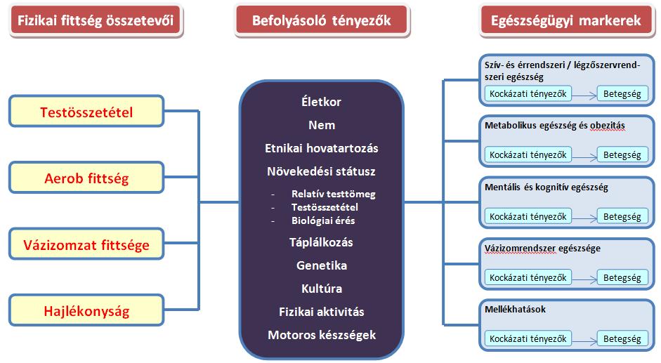 Programs frame of International Exchange