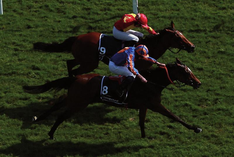 The Greatest Flat Race in the World, azaz a világ legnagyobb lóversenyfutama. Ki merne vitába szállni ezzel az állítással?