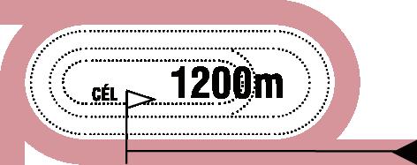 MAGYAR GALOPP 2015.06.14 I. FUTAM 14:00 (93) Pálya: 10 - Kincsem Park A futam neve: TATAI DÍJ (III.kat.) Összdíjazás: 690000 Ft (345000, 138000, 103500, 69000, 34500) 1 Skirt Chaser (GB) * 65.