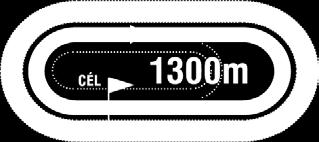 5) (46,5-17) (Fekete, ezüst félhold és sapka) 3 pher Saldenzar (GER) - Pragmatika / Noble Law (GB) Németh Ildikó Istálló: Bábolna - Diósi i. Startbox: 10 Élet stat.