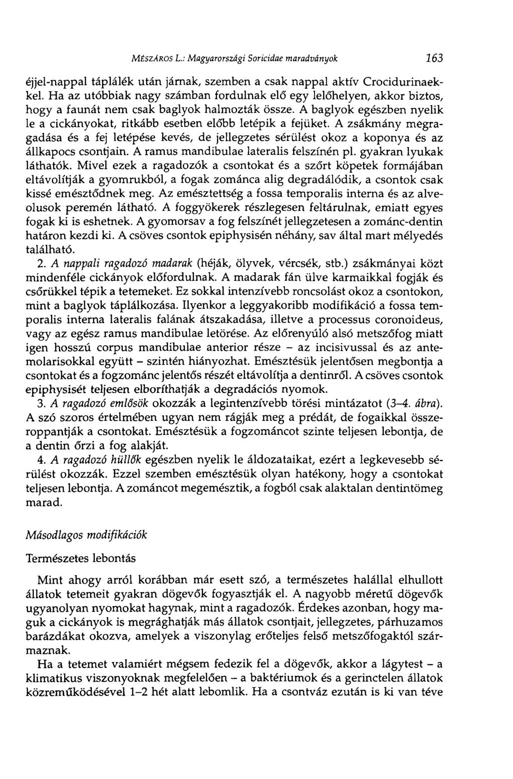 MÉSZÁROS L: Magyarországi Soricidae maradványok 163 éjjel-nappal táplálék után járnak, szemben a csak nappal aktív Crocidurinaekkel.