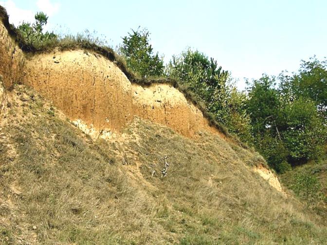 kőzeteket nem koruk és