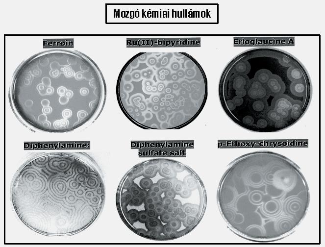48 Magyar Kémiai Folyóirat - Összefoglaló közlemények minimális verzióhoz. A komponensek csökkentése sok új variáns előállítását eredményezte.