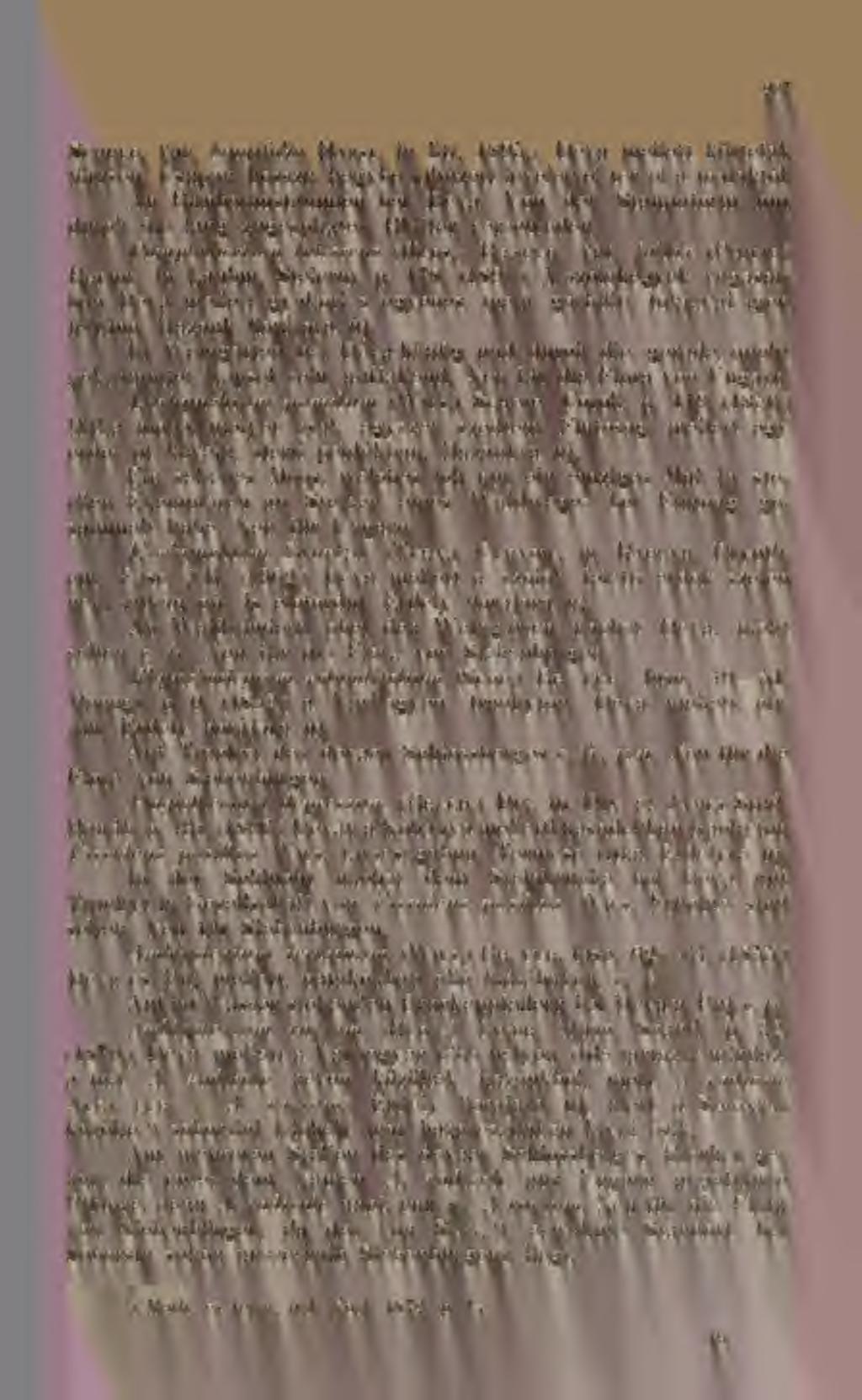 297 Schreb. var. longifolia Hazsl. in litt. 1895. Déva mellett körtefák törzsén. Csupán hosszú hegybe kihúzott leveleivel tér el a talaktól. An Birnbaumstammen bei Déva.