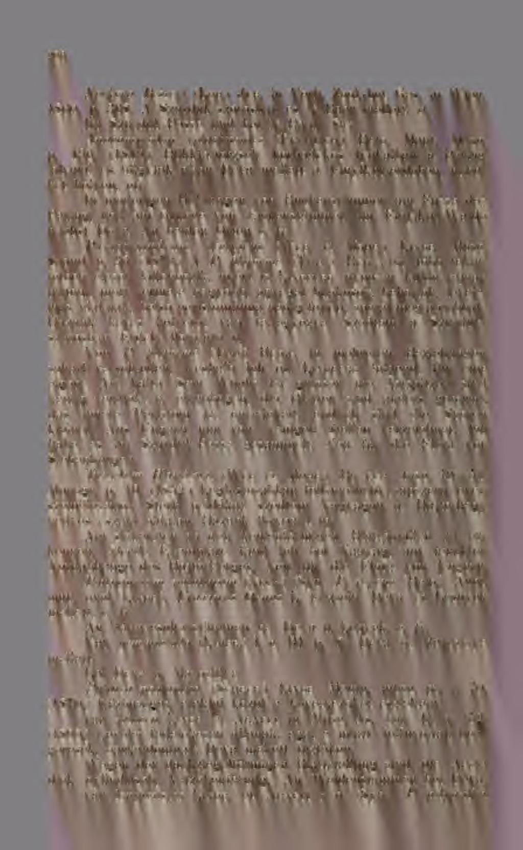 296 Neckera Besseri (Lob. Jur. in Yerli. Zool.-bot. Ges. in Wien. 1860. p. 368. A Szurduk-szorosban és N.-Baár mellett,.vb lm Szurduk-Passe und bei N.-Baár. Ster. Anacamplodon splachnoides (Fröhlich.