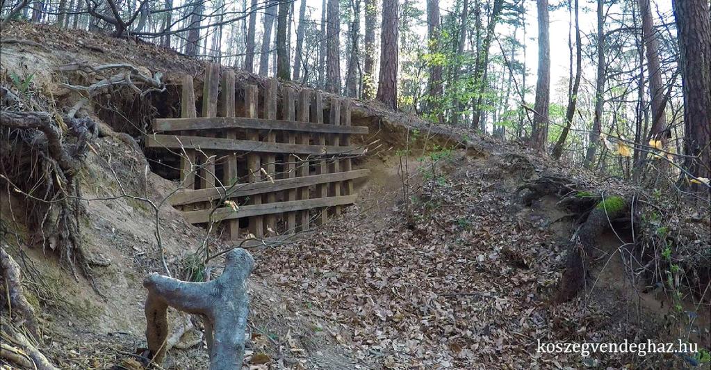 A Panoráma Pihenőháztól felfele kell elindulnunk, ha a táróhoz készülünk. (Érdemes autóval elindulnunk, ha csak nem vagyunk gyakorlott kirándulók.