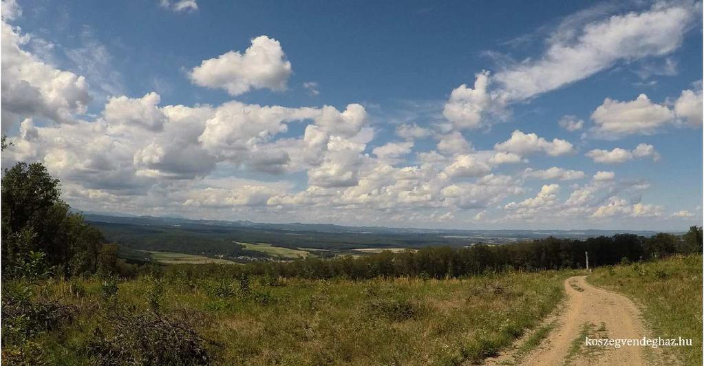A Panoráma Pihenőháztól felfele kell elindulnunk, ha a Pintér-tetőre készülünk. Mehetsz egy darabig autóval is, de gyalogosan is megtehető az út.