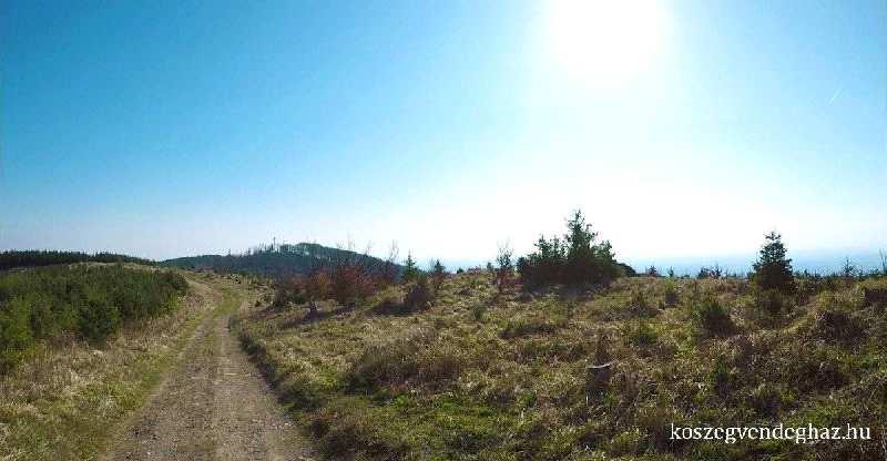A Panoráma Pihenőháztól felfele kell elindulnunk, ha a Kendigre készülünk. (Érdemes autóval elindulnunk, ha csak nem vagyunk gyakorlott kirándulók.
