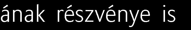 Típusa: részvényalapba fektető eszközalap
