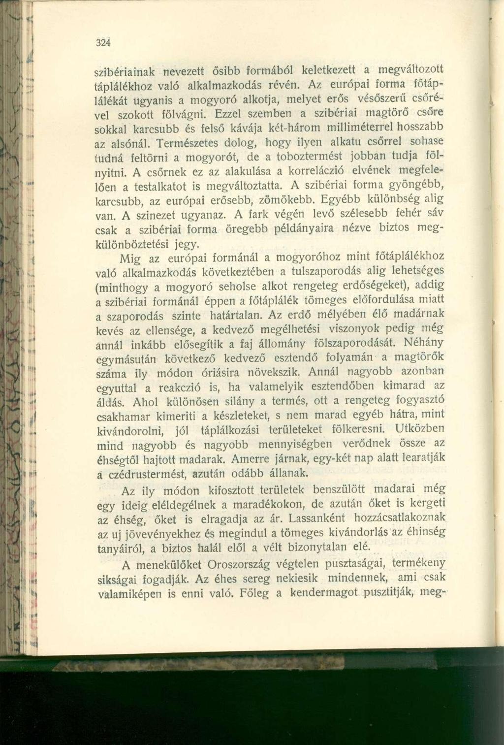 szibériainak nevezett ősibb formából keletkezett a megváltozott táplálékhoz való alkalmazkodás révén.