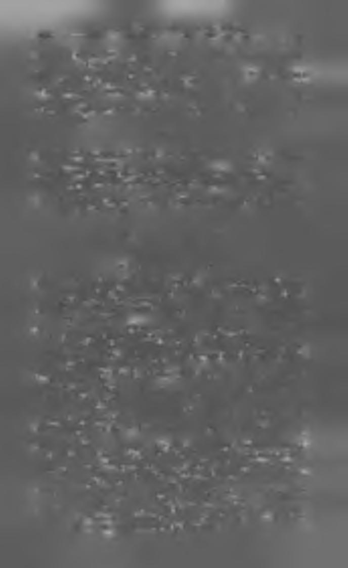 ; * - * - 7-;. *» - MACYAK HÍRLAPOK ÉS FOLYÓIRATOK 1 8 9 2. M á ty á s D iá k. Szerk. Murai K á ro ly ; kiadják W odianer F. és fiai. V. é v f.; ára 4 frt. B o k r ó c z M á m L a p ja. Szerk. Pokrőcz Ádám (Csete L a jo s); kiadja Blockner I.