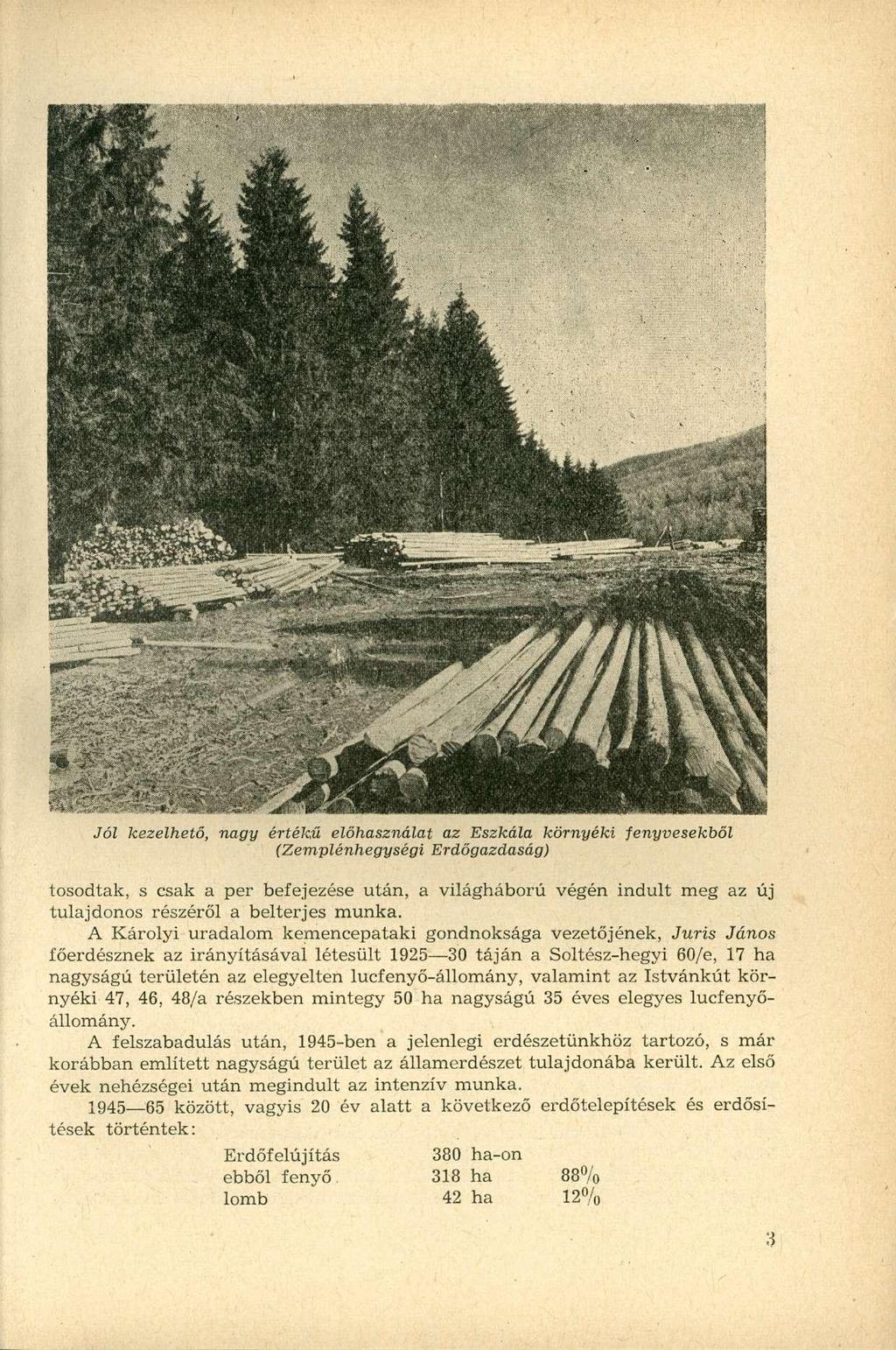 Jól kezelhető, nagy értékű elősználat az Eszkála környéki fenyvesekből (Zemplénhegységi Erdőgazdaság) tosodtak, s csak a per befejezése után, a világháború végén indult meg az új tulajdonos részéről