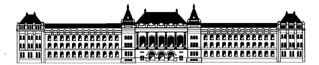 BUDAPEST UNIVERSITY OF TECHNOLOGY AND ECONOMICS Department of Physical Chemistry HAS-BUTE Laboratory of Soft Matters THERMOSENSITIVE POLYMER